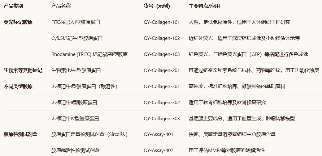 FITC-Labeled Bovine Type I Collagen Substrate(Chondrex,Cat. 4001) FITC-Labeled Bovine Type I Collagen Substrate(Chondrex,Cat. 4001)