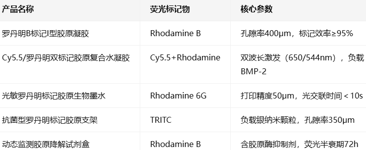Rhodamine-labeled Type I collagen gels
