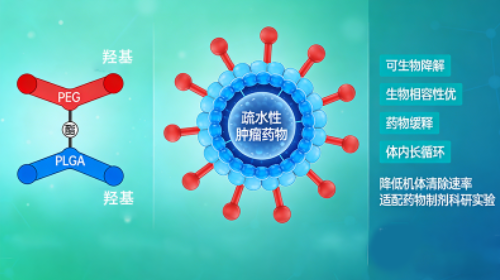 两亲性二嵌段PEG-PLGA共聚物定制