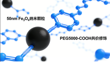 某高校药学院（肿瘤药物递送研究）