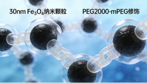 某生物科技公司（磁分离与传感检测）