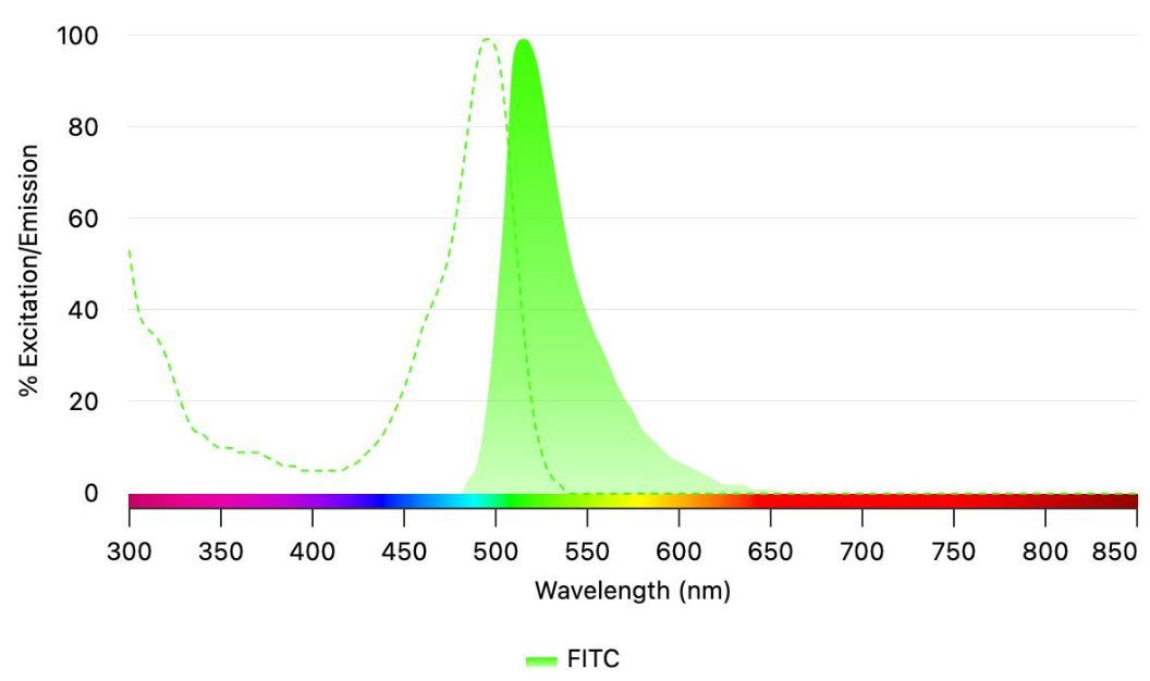 NH2/N3-(CH2)9/11-FITC/CY5