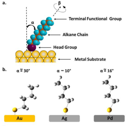 HS-C10-COO-C11-SH HS-C10-COO-C11-SH
