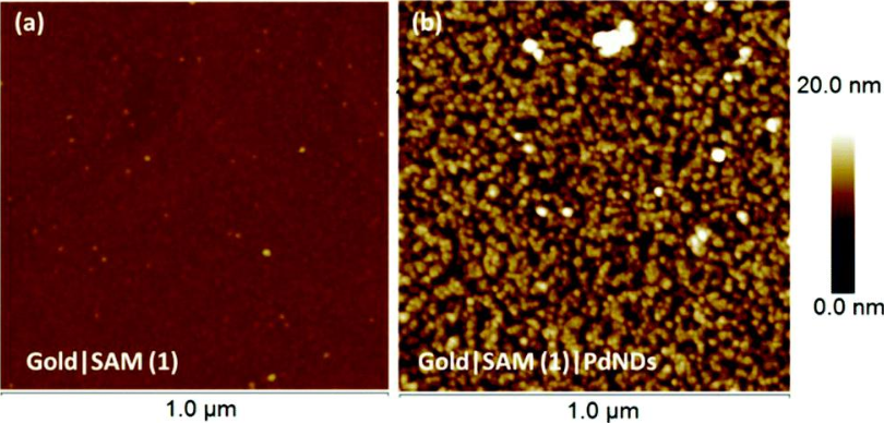 HS-C11-O-azobenzene-O-C11-HS HS-C11-O-azobenzene-O-C11-HS