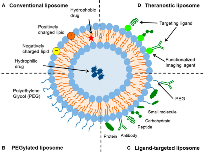 HS-C10-COO-C-SH(OOC-C10-SH)-C2-Phosphocholine HS-C10-COO-C-SH(OOC-C10-SH)-C2-Phosphocholine