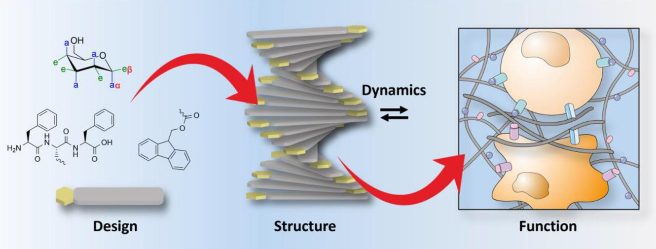 Benzoquinone-(CH2)6-S-S-(CH2)6-Beznoquinone Benzoquinone-(CH2)6-S-S-(CH2)6-Beznoquinone