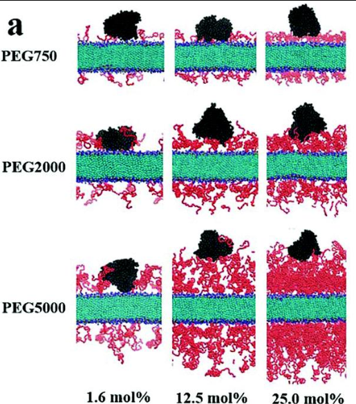 HSC10-quinone-EG4OMe HSC10-quinone-EG4OMe