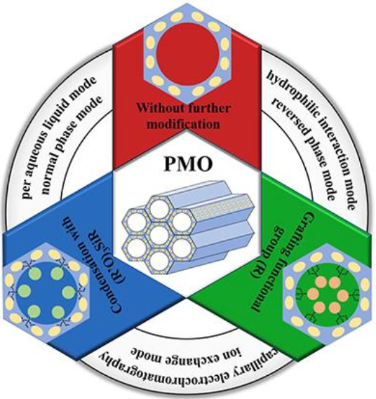 (HO)2-PO-S-C16/(CH2)10/-OH/COOH/NHS (HO)2-PO-S-C16/(CH2)10/-OH/COOH/NHS