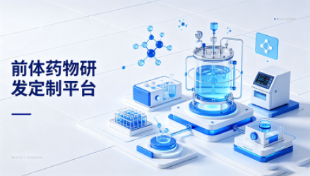 前体药物定制