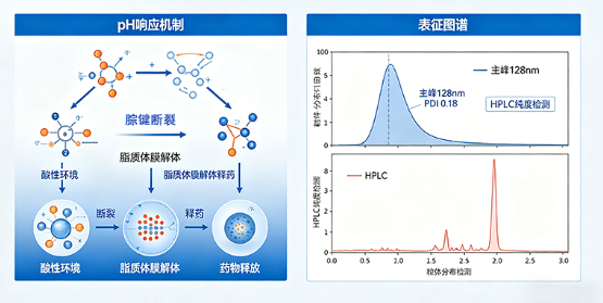pH响应型核酸递送脂质体定制(科研用途) pH响应型核酸递送脂质体定制(科研用途)