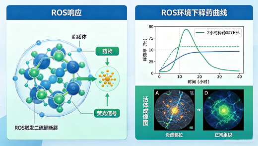 ROS响应型炎症靶向脂质体定制(药企研发) ROS响应型炎症靶向脂质体定制(药企研发)