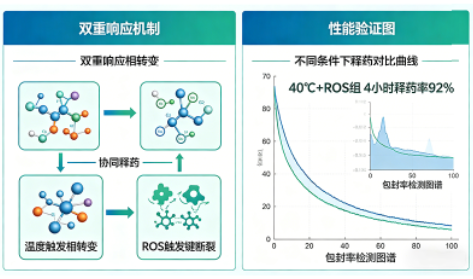 温度-ROS双重响应脂质体定制(临床前研发) 温度-ROS双重响应脂质体定制(临床前研发)