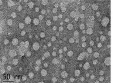 油溶性核壳结构上转换纳米粒（808激发，蓝光/绿光）的应用