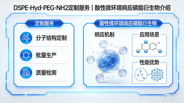 DSPE-Hyd-PEG-NH2定制服务｜酸性微环境响应磷脂衍生物介绍