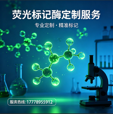科研用荧光标记酶定制服务｜多荧光体系覆盖·灵活标记策略｜西安齐岳生物