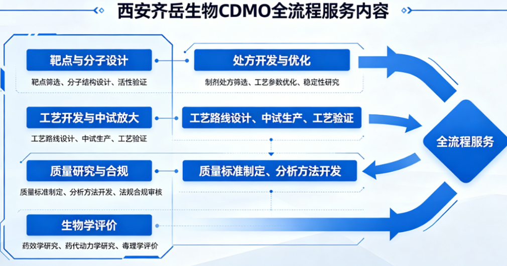 肝靶向脂质体递药系统定制研发CDMO服务-西安齐岳生物提供
