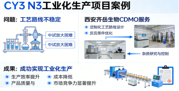 CY3-N3（cas:1167421-28-4）工艺开发及中试放大定制服务