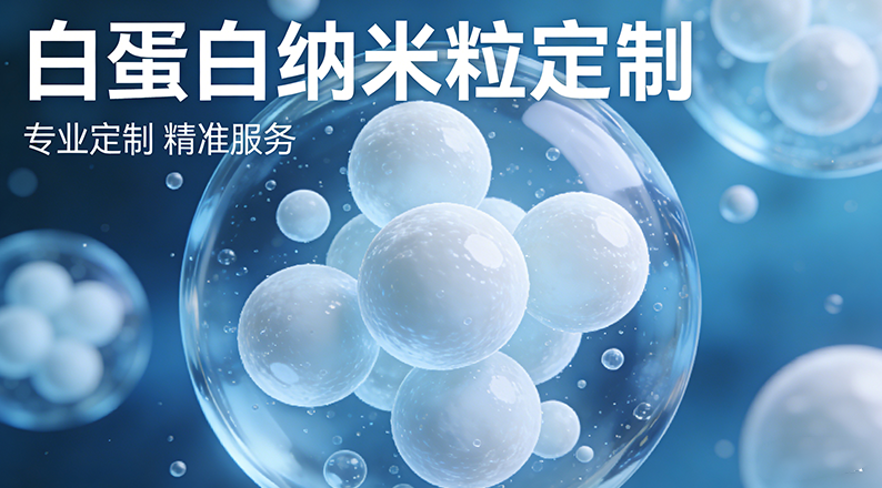 如何选择合适的白蛋白纳米粒？西安齐岳生物定制