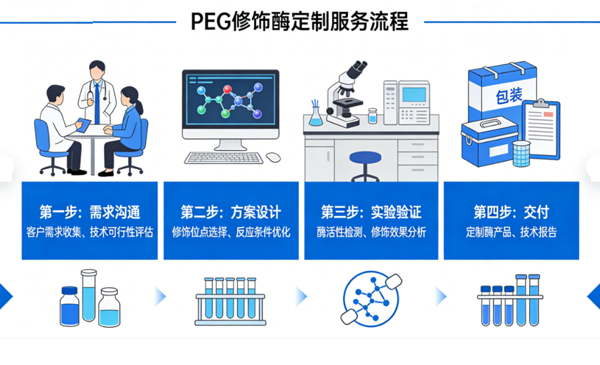 PEG 修饰酶是什么？PEG 化酶定制服务及应用详解