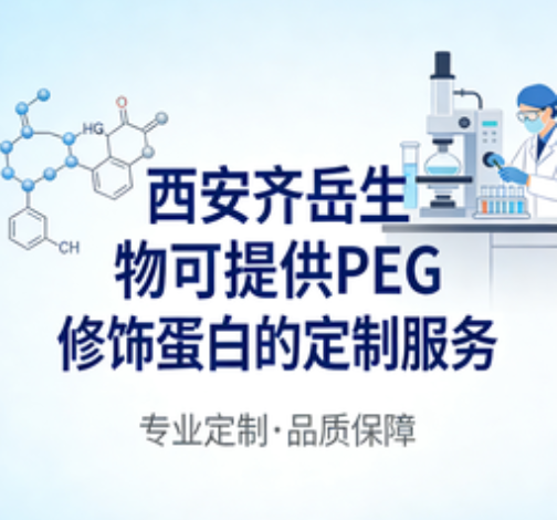 不同分子量PEG修饰溶菌酶蛋白的定制服务