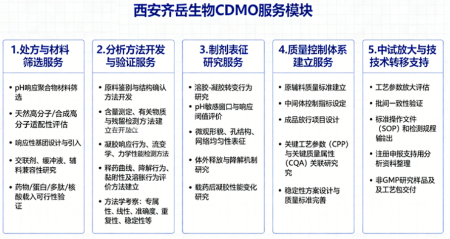 西安齐岳生物提供肿瘤免疫LNP制剂：CDMO专业化开发与生产
