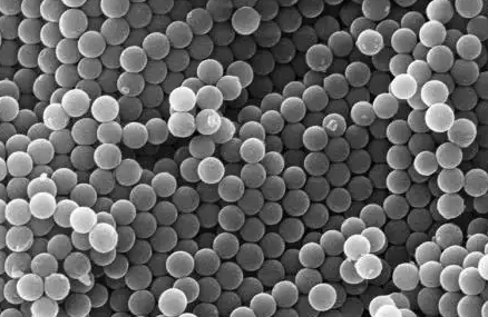 细胞膜包被纳米颗粒定制合成-西安齐岳生物提供