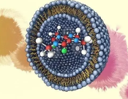 荧光标记脂质体定制合成服务（西安齐岳生物提供）