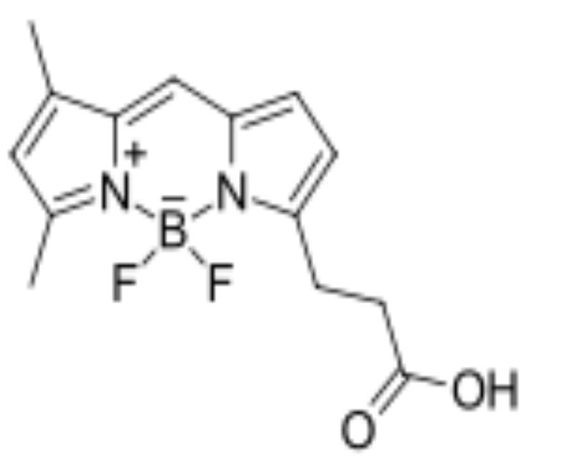BDP FL carboxylic acid,cas165599-63-3，bodipy荧光染料试剂