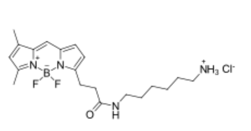 BDP FL amine,cas2183473-03-0,BODIPY类氟化硼二吡咯类荧光染料的激发波长