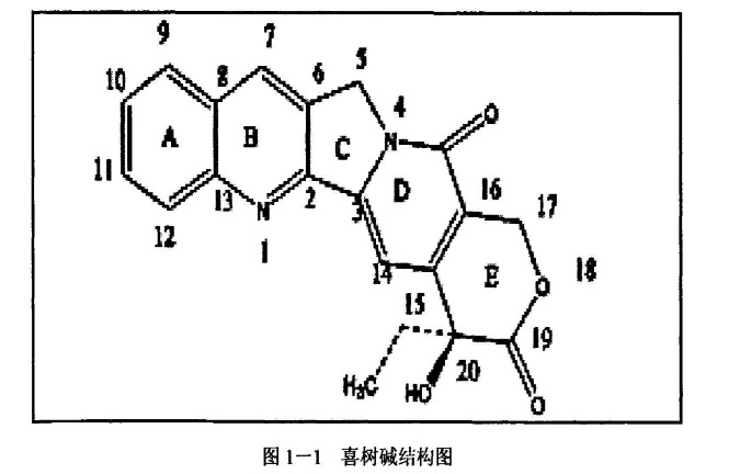 聚轮烷—喜树碱偶联物（PR-CPT前体）给药系统的定制合成-西安齐岳生物提供