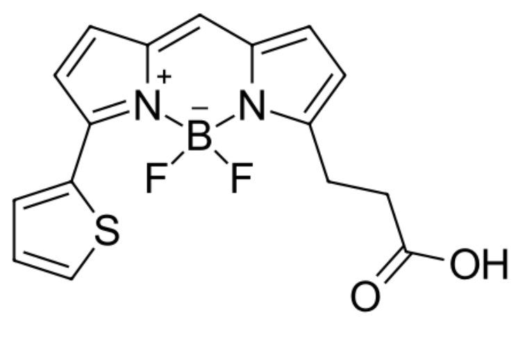 BDP 558/568 carboxylic acid|cas150173-72-1|-COOH羧基功能化修饰bodipy荧光染料