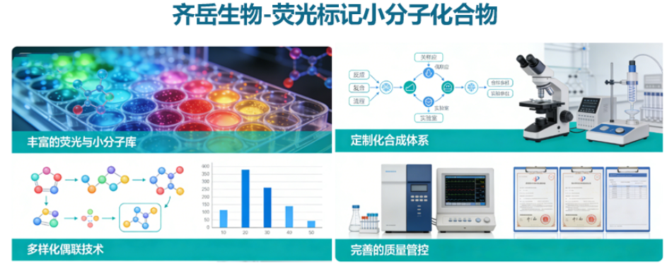 荧光标记小分子化合物定制合成-西安齐岳生物