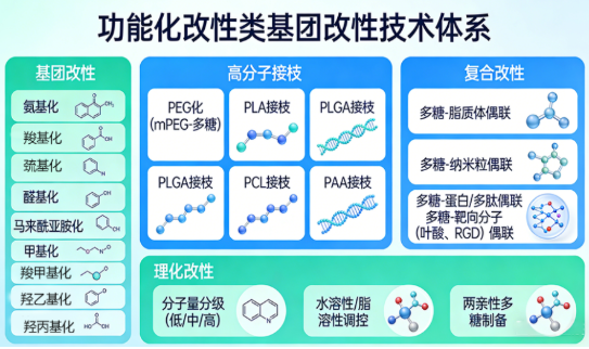 枸杞多糖、黄芪多糖、人参多糖、芦荟多糖的荧光修饰与改性