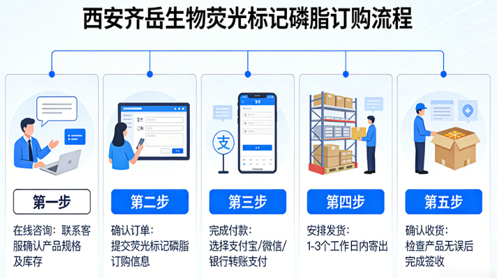 荧光标记磷脂定制：FITC/CY3/CY5/CY7/ICG多种荧光标记多种磷脂