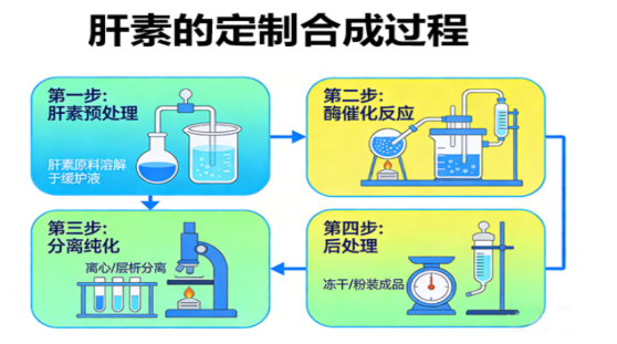 肝素（Heparin）的修饰与改性技术-西安齐岳生物