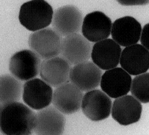 上转换纳米颗粒定制合成服务