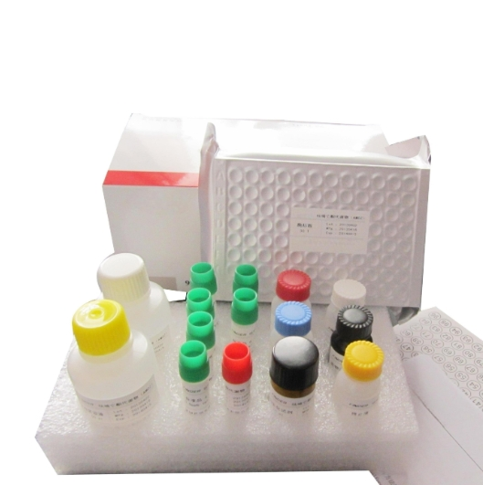 噻唑橙-壳聚糖-叶酸（TO-CTS-Folate）定制技术