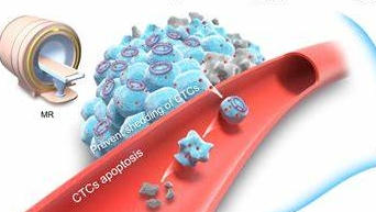 硼替佐米–胆固醇偶联物定制技术