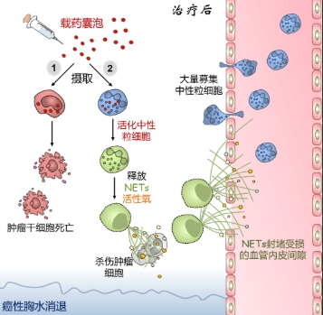 含乙烯化硫醚的纳米药物定制合成技术
