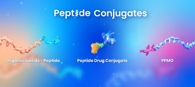 多肽载药物定制技术（DOX-RGD、PTX-CPP）等