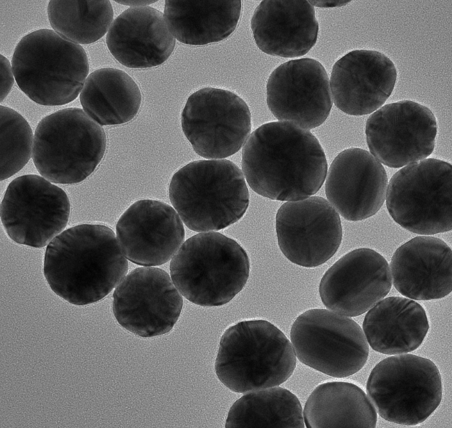 包裹二氧化硅脂质体定制合成技术-西安齐岳生物提供