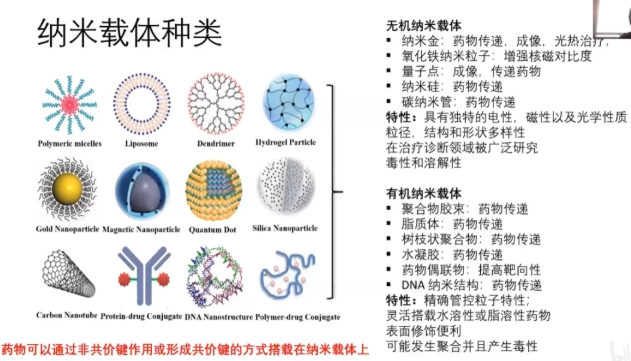 异硫氰酸荧光素（FITC）偶联空白脂质体定制技术 FITC-Conjugated Blank Liposome Customization