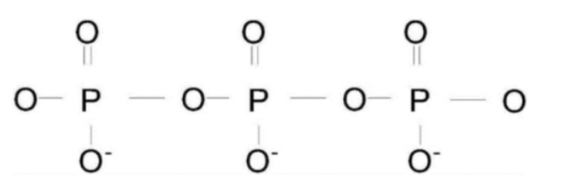 TPE-NCS；苯基乙烯荧光分子(TPE)标记羧化壳聚糖链(NCS)