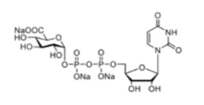 UDP-GlcA， CAS:63700-19-6，尿苷5'-二磷酸葡萄糖醛酸三钠，Uridine 5'-diphosphoglucuronic Acid Trisodium