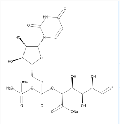 UDP糖 | UDP-GlcA;CAS: 63700-19-6;尿苷5'-二磷酸葡萄糖醛酸三钠；UDP-葡萄醛酸三钠盐