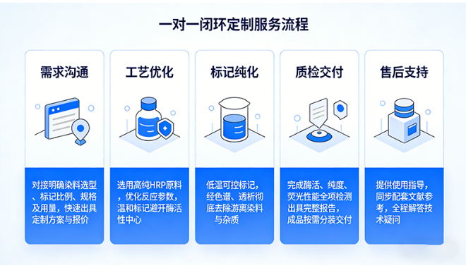 荧光标记辣根过氧化物酶（HRP-Fluorescent）定制服务丨西安齐岳生物