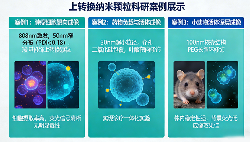 上转换定制方案|粒径可控与表面修饰一体化服务