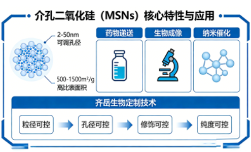 介孔二氧化硅定制有多强？粒径 / 孔径 / 修饰全可控
