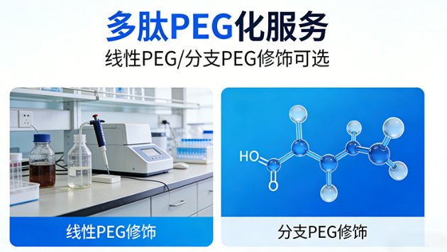 多肽PEG化服务（线性PEG/分支PEG修饰可选）
