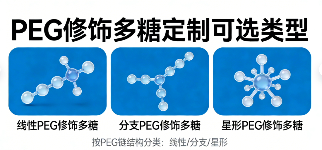 PEG修饰多糖定制有哪些可选类型？
